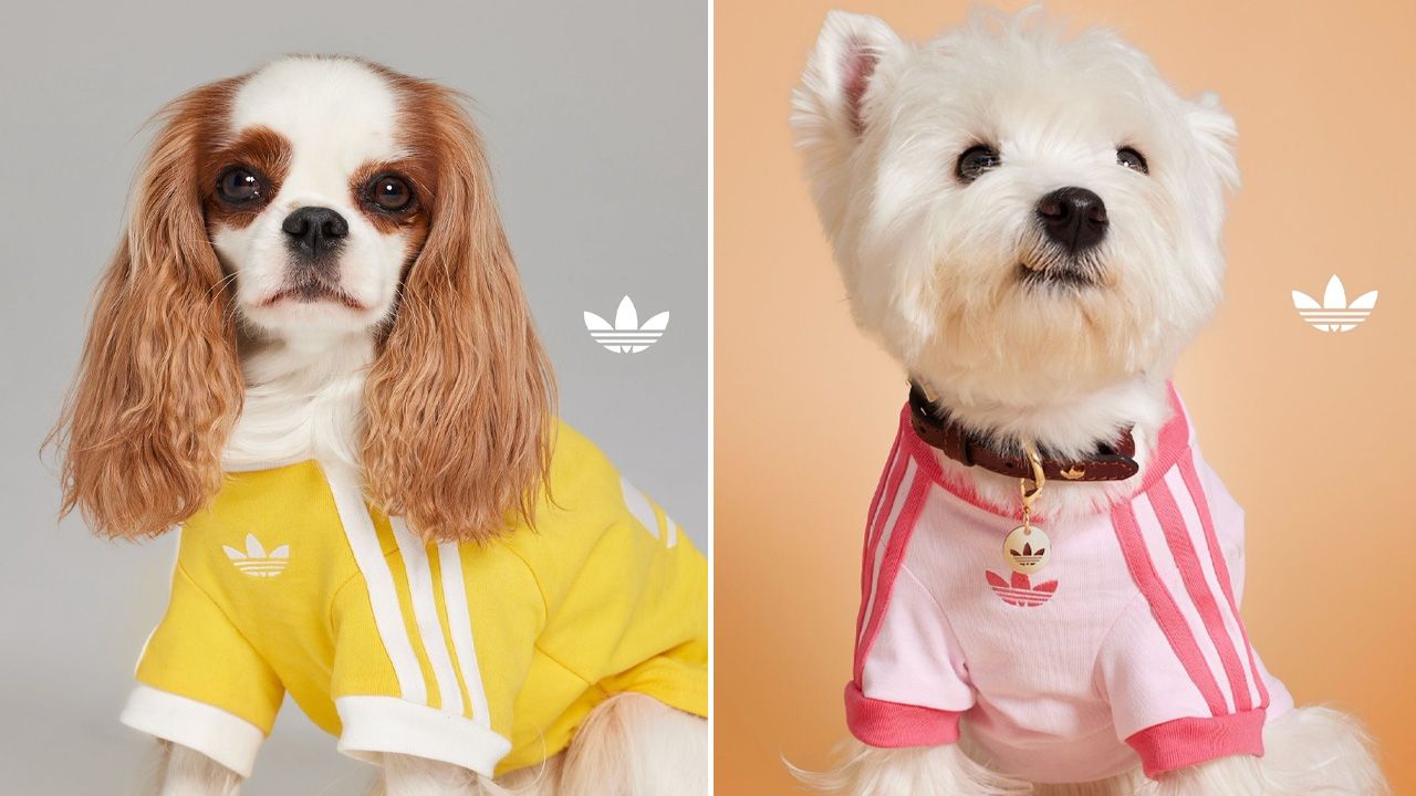 adidas Originals Pet Collection