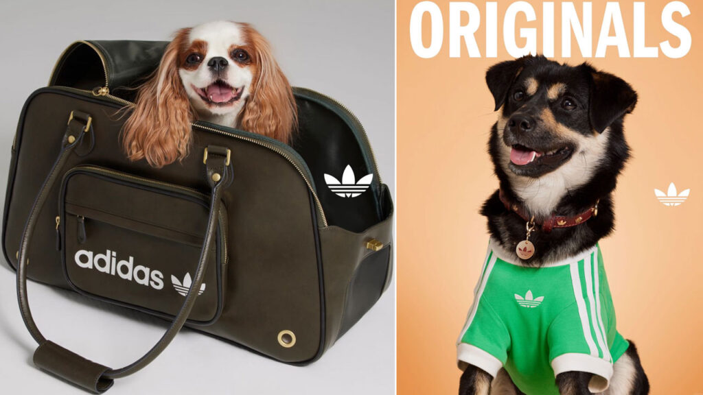 adidas Originals Pet Collection - 1
