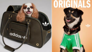 adidas Originals Pet Collection - 1
