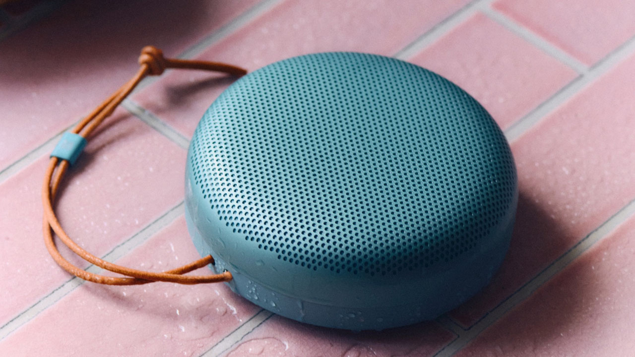 Bang and Olufsen Beosound A1 3rd Gen Speaker