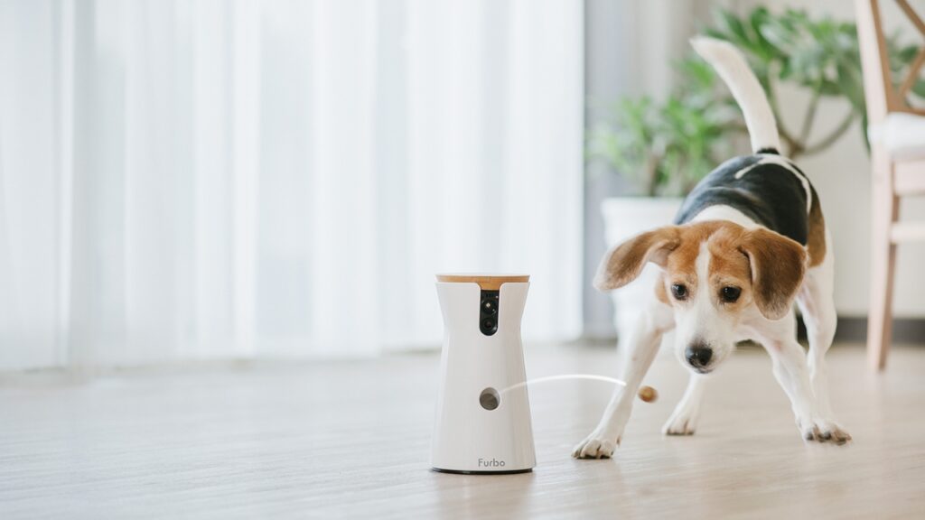 best pet camera