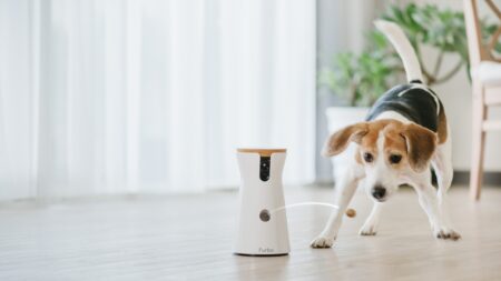 best pet camera