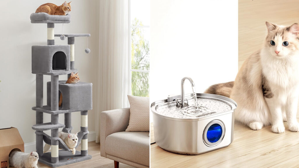 Amazing Prime Day Deals on Pet Products