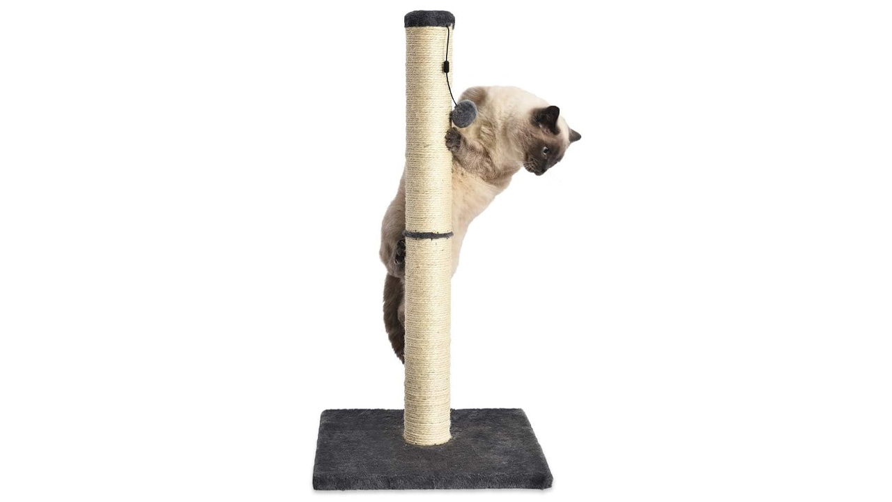 Amazon Basics Cat Scratcher amazon prime day deals 2025