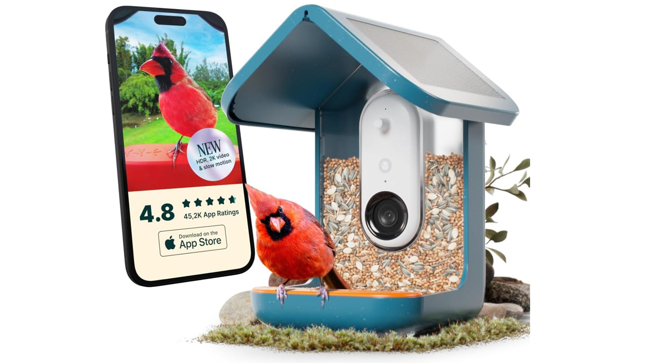 Bird Buddy PRO Solar Smart Bird Feeder
