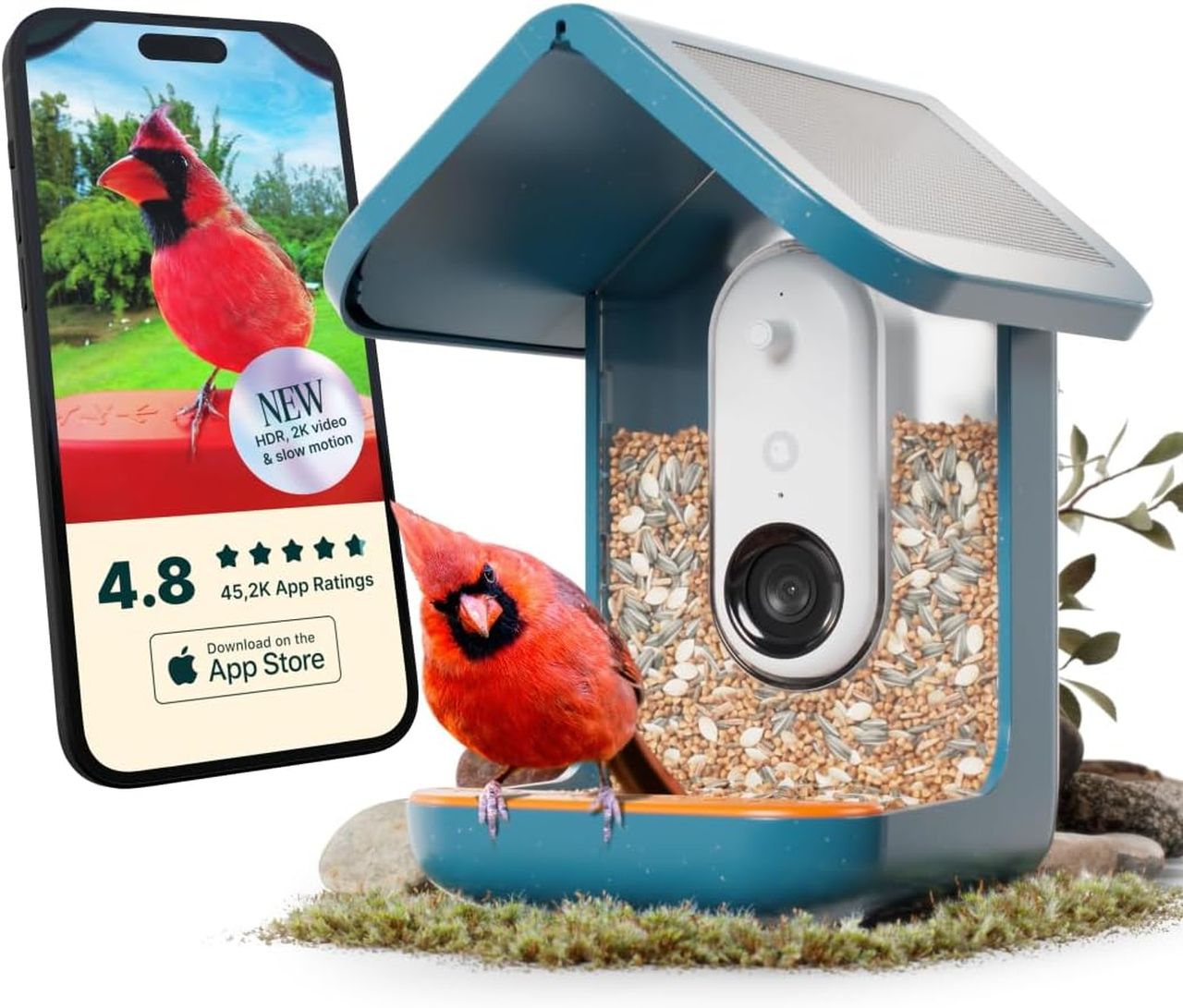 Bird Buddy PRO Solar Smart Bird Feeder with Camera