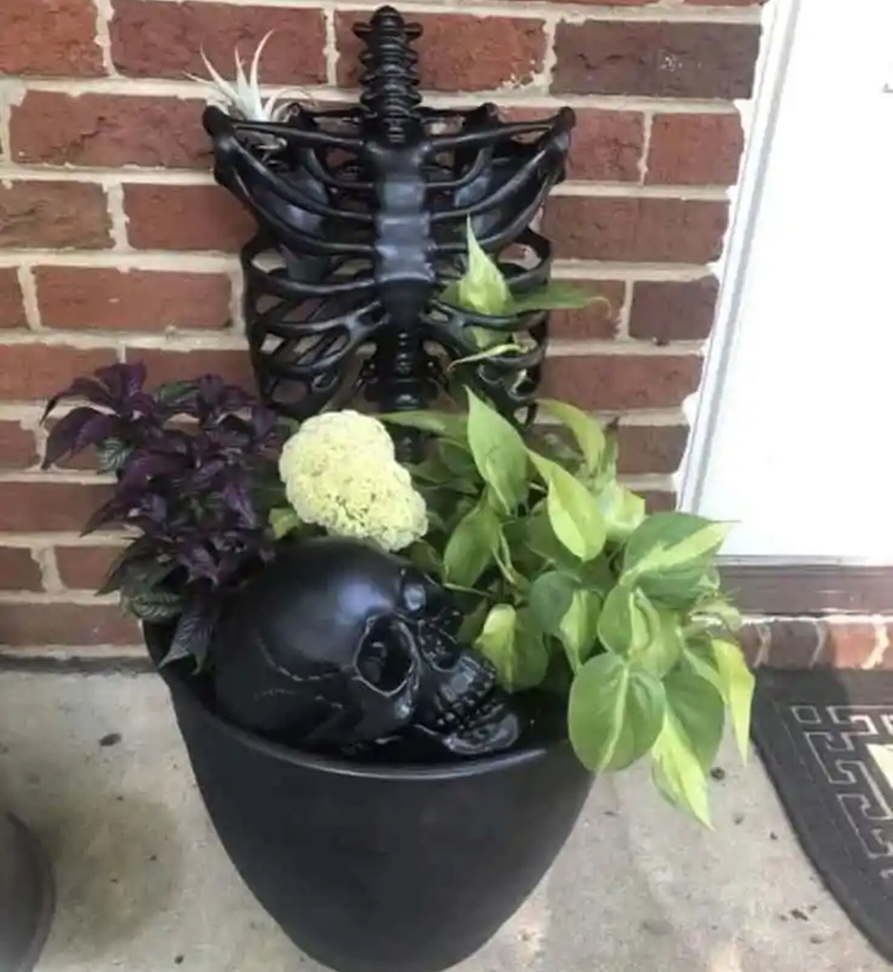 Creepy Planters