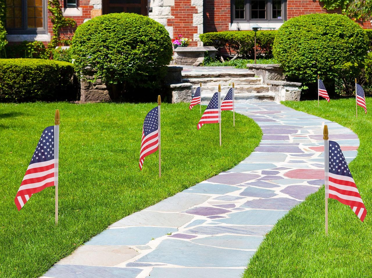 HOOSUN 12 Pcs Small American Flags on Stick