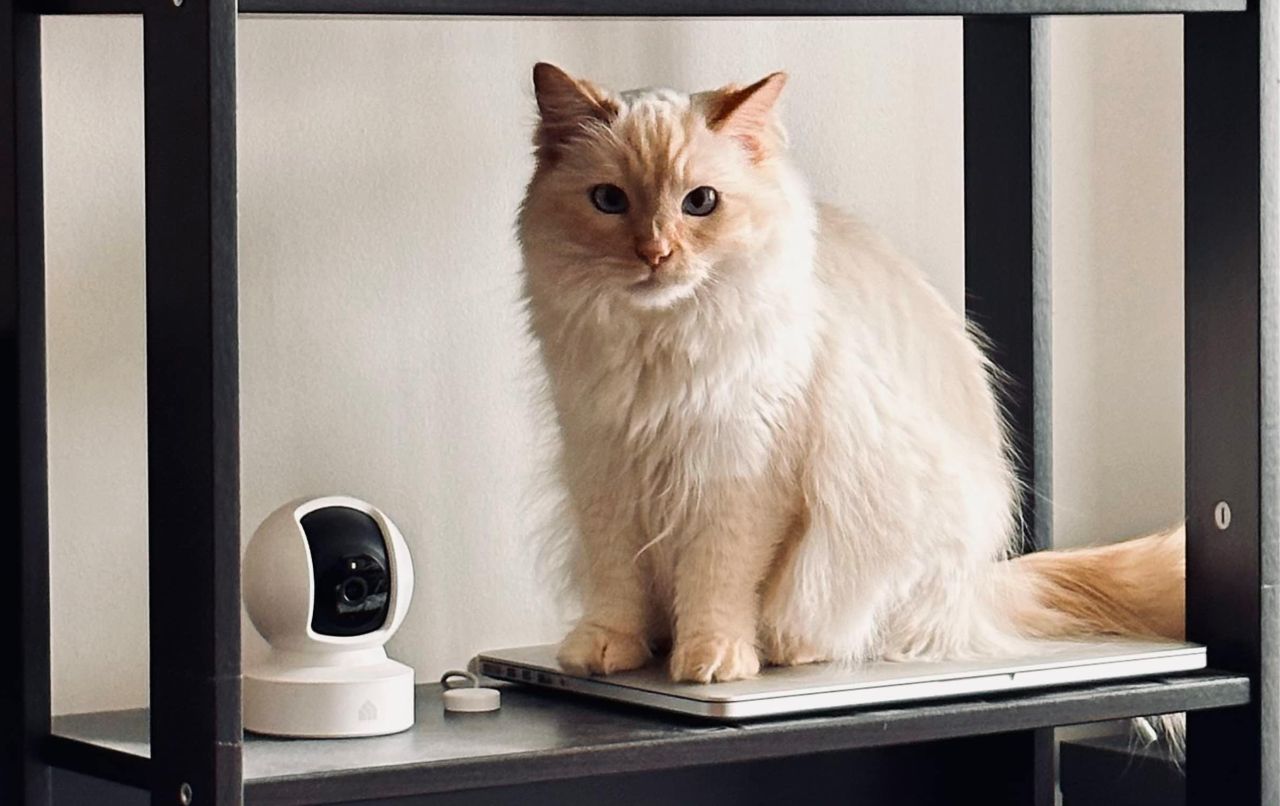 Kasa Indoor Pan-Tilt Smart Security Camera