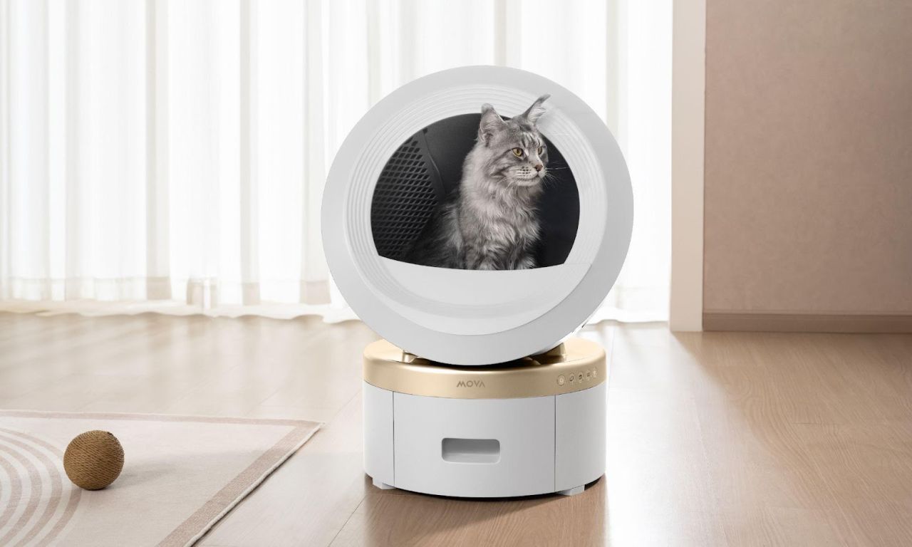 MOVA self-cleaning litter box