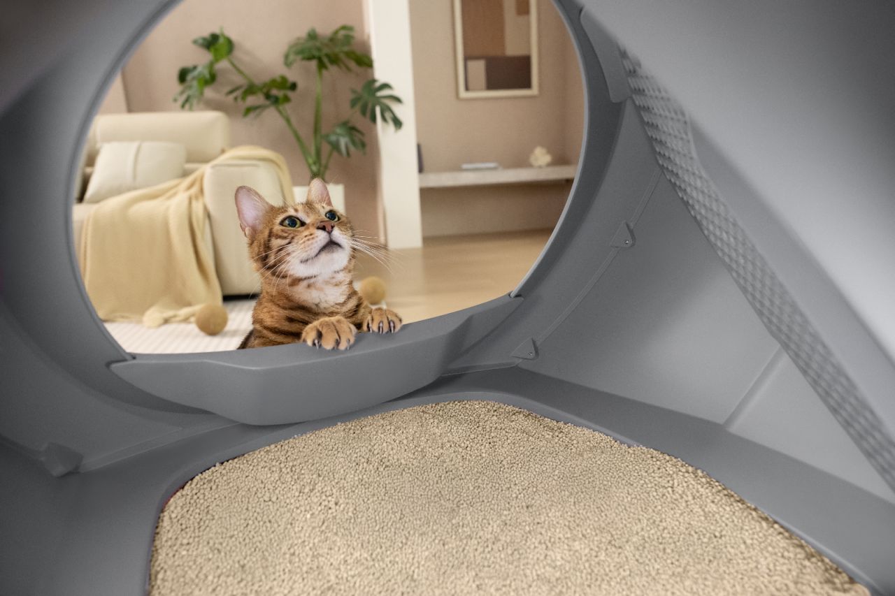 MOVA self-cleaning litter box