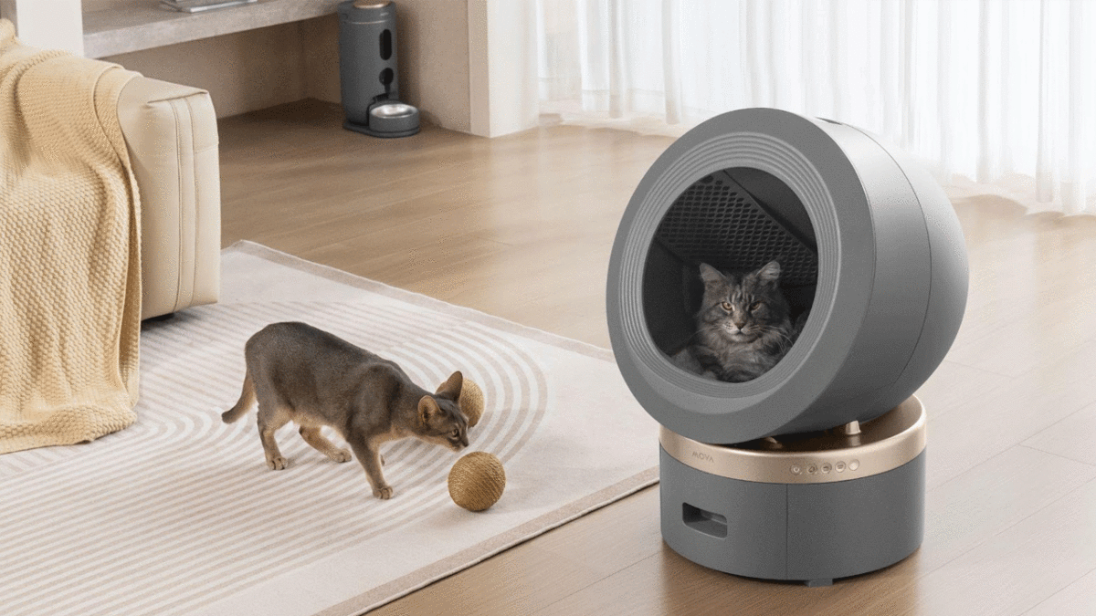 MOVA Self-Cleaning Litter Box has Dual-Action Deodorization - Self Cleaning Litter Box With Daylight Features