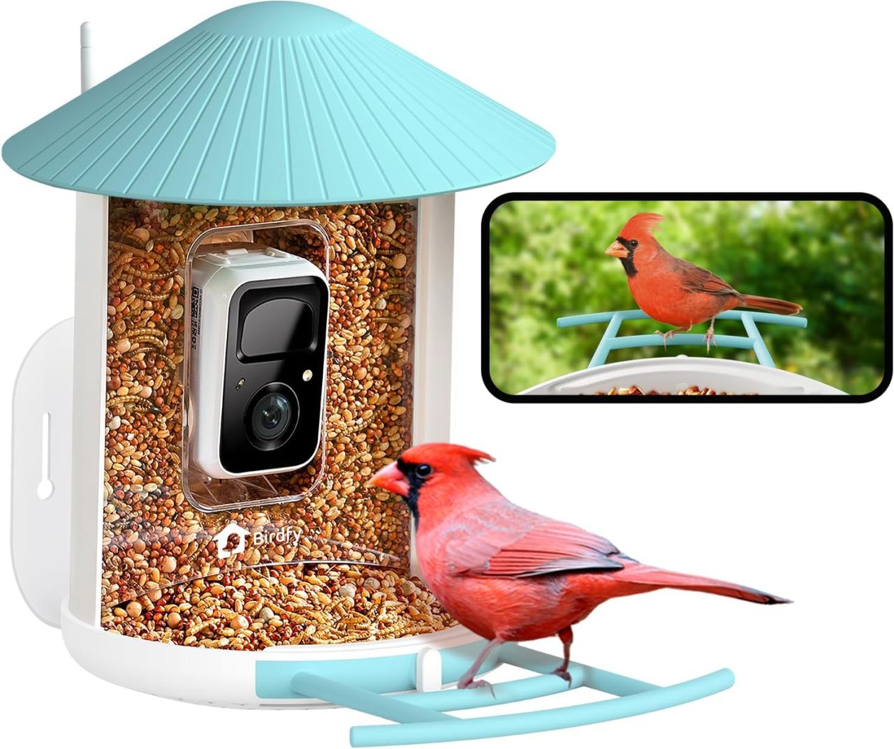 NETVUE by Birdfy Smart Bird Feeder with Camera