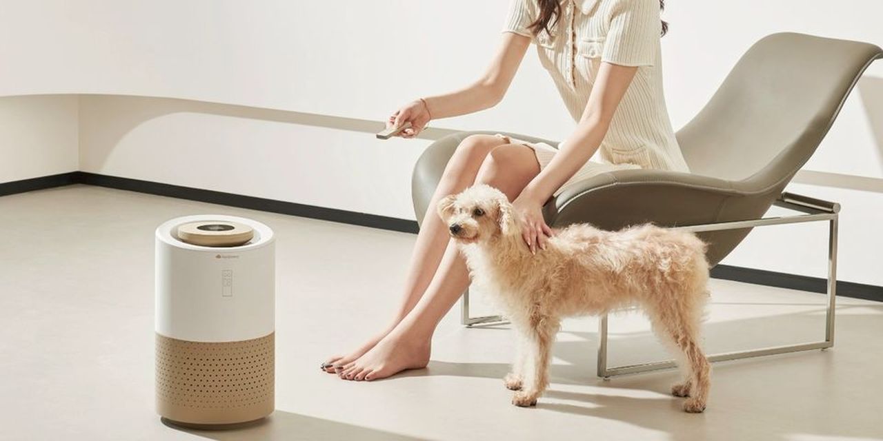 PetSnowy Air Purifier is Perfect for Pet Owners
