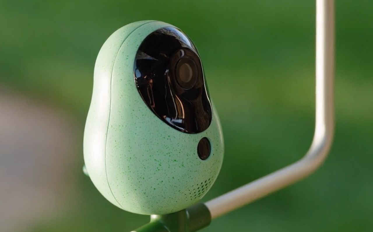 RobinsNote Smart Feeder