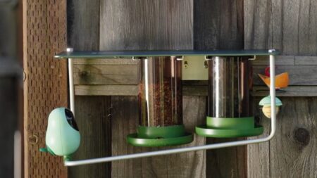 RobinsNote Smart Feeder