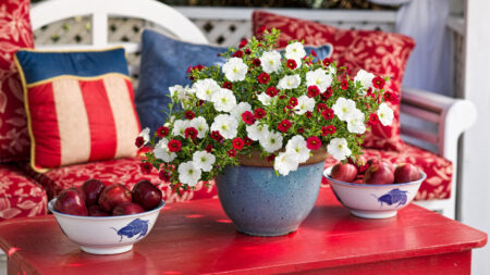 4th of July Decoration ideas on budget