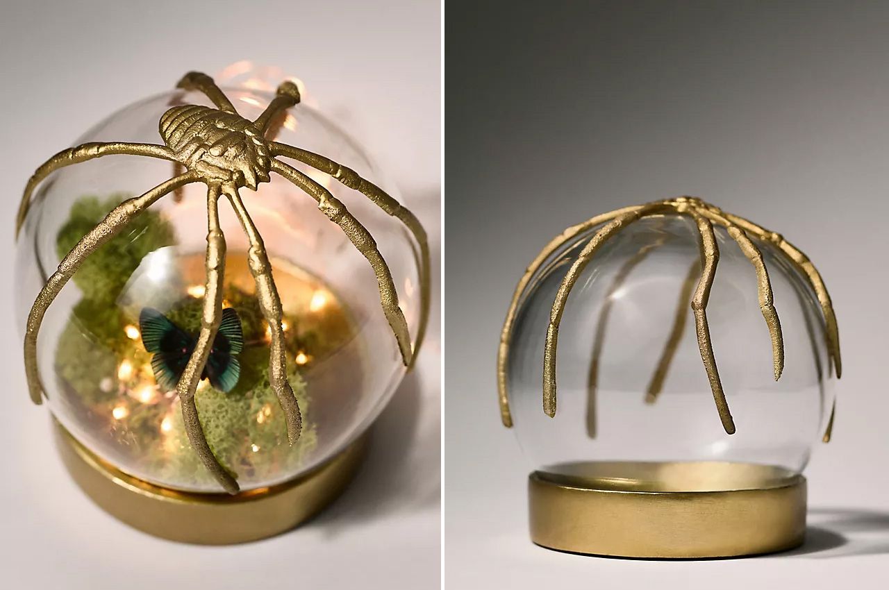 Anthropologie 2025 Halloween collection - Spider Cloche Terrarium