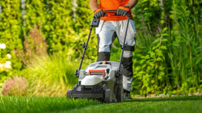 Best Battery Powered Lawnmowers to Buy in 2025