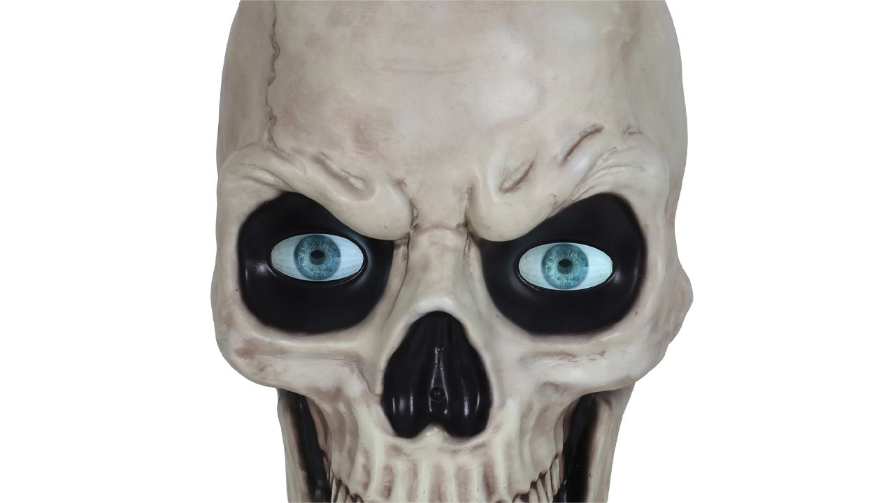 Costco Ground Breaking Skeleton - 1