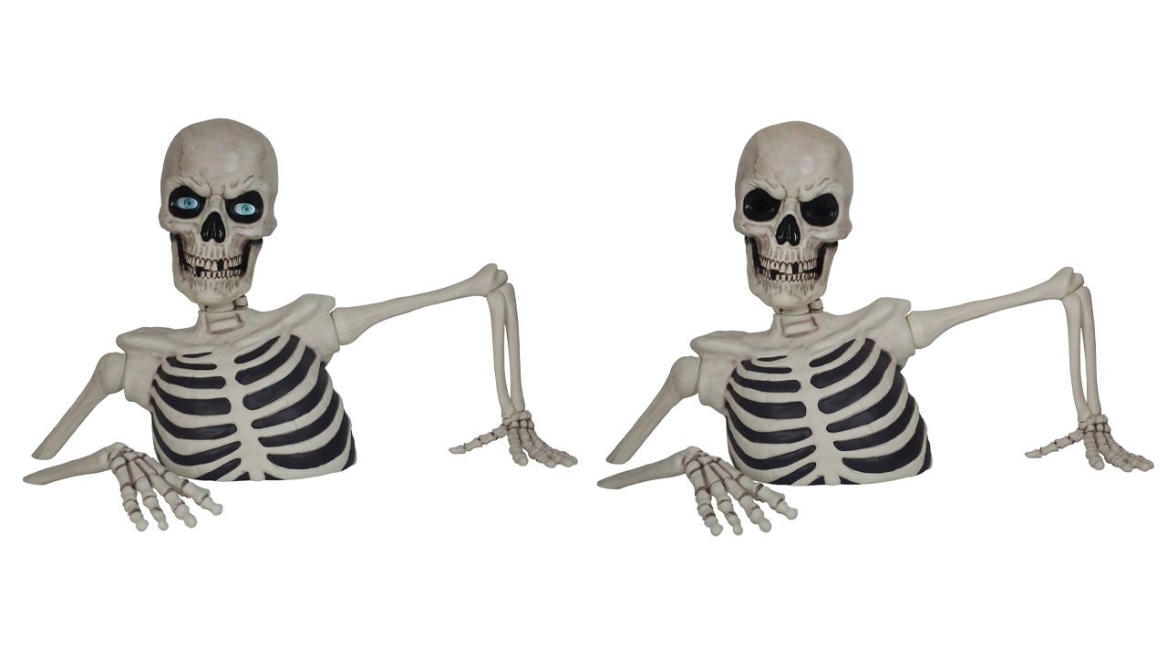 Costco Ground Breaking Skeleton - 2