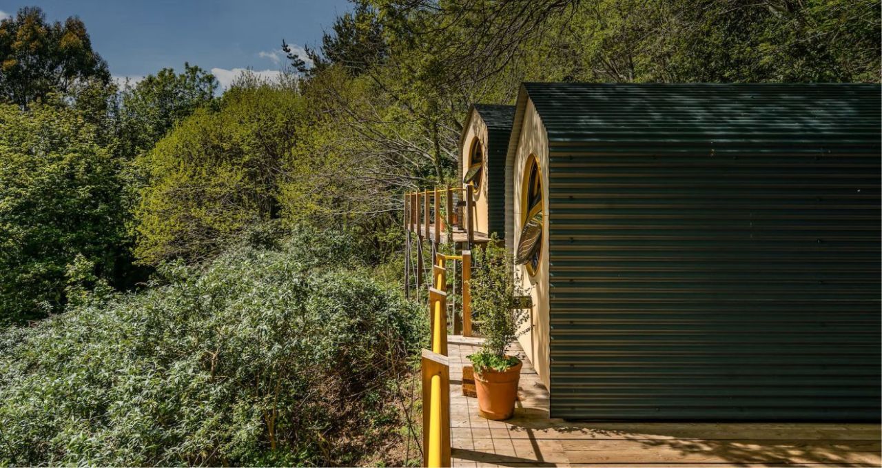 Exterior of Birdhouse Modular - 1