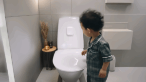 No Brainer Smart Toilet Lid
