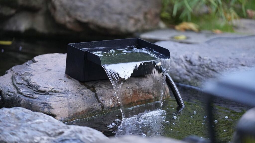 POPOSOAP pond kit review