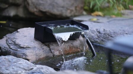 POPOSOAP pond kit review