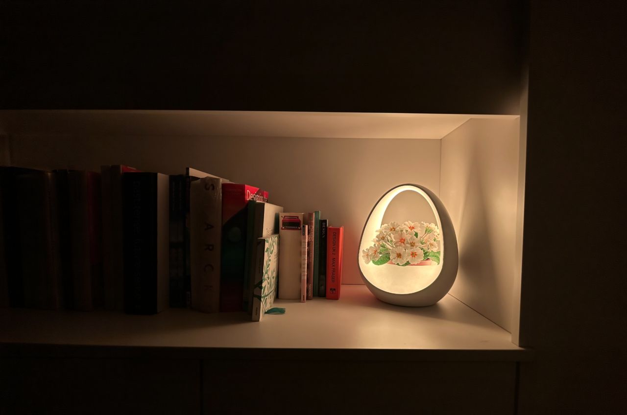 Planto is The World’s First Water-Powered Smart Lamp