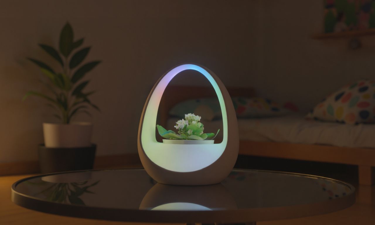 Planto is The World’s First Water-Powered Smart Lamp