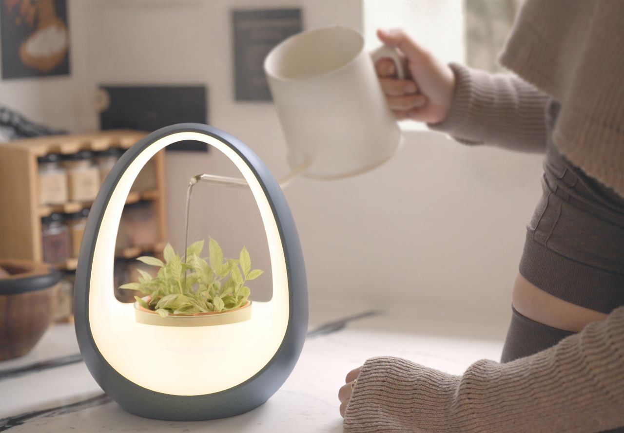 Planto is The World’s First Water-Powered Smart Lamp