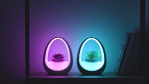 Planto is The World’s First Water-Powered Smart Lamp
