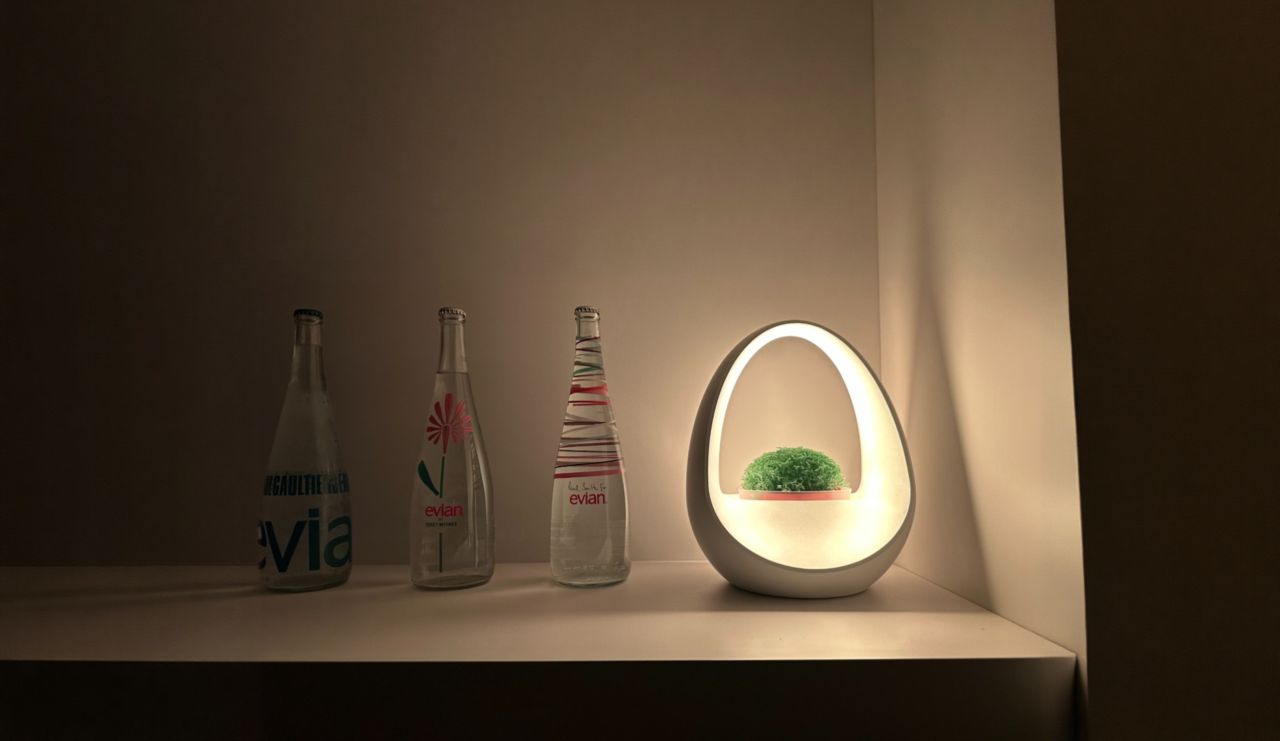 Planto is The World’s First Water-Powered Smart Lamp