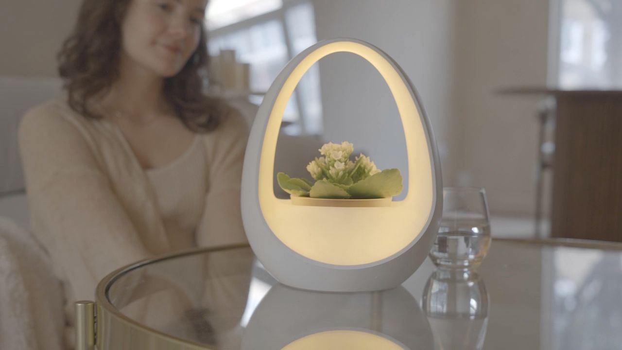 Planto is The World’s First Water-Powered Smart Lamp