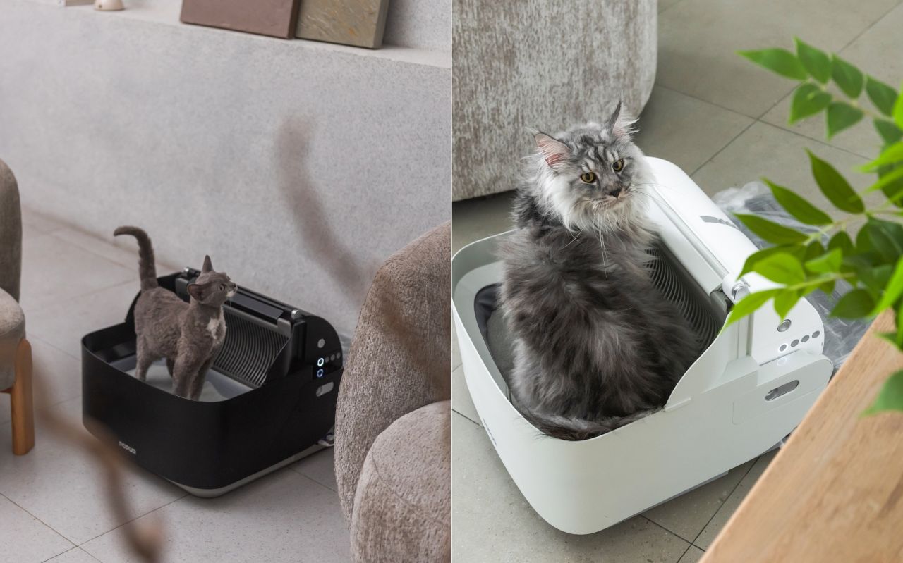 Popur S7 Split Cat Litter System