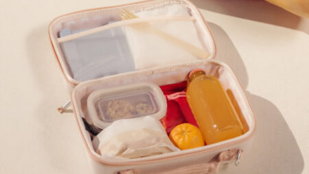 Stanley Lunch Boxes Collection in Four Neutral Colors