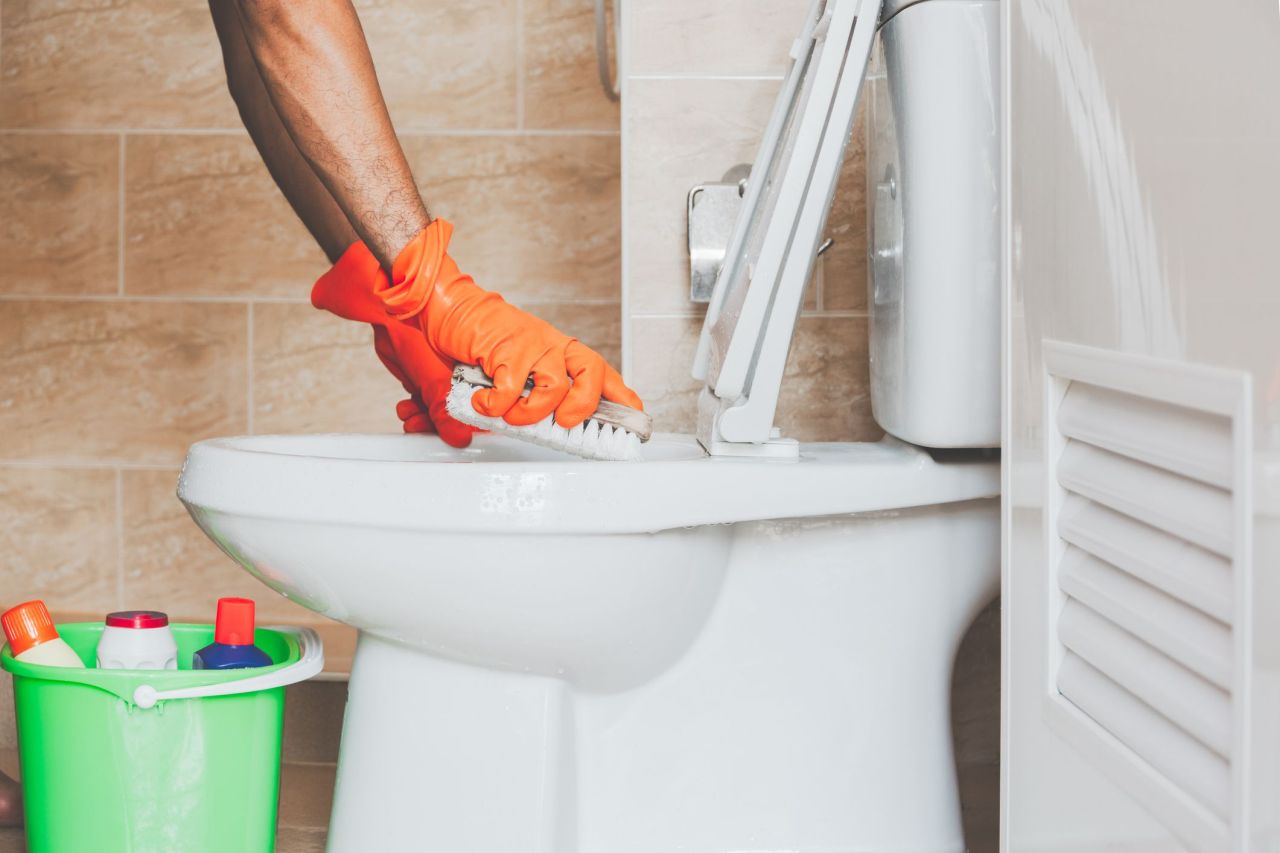 Toilet Cleaning Tips