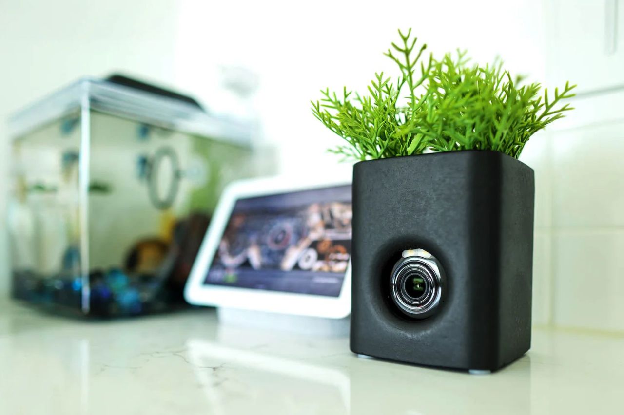 Wyze Launches Decorative Vase to Disguise Its Security Cameras From Plain Sight