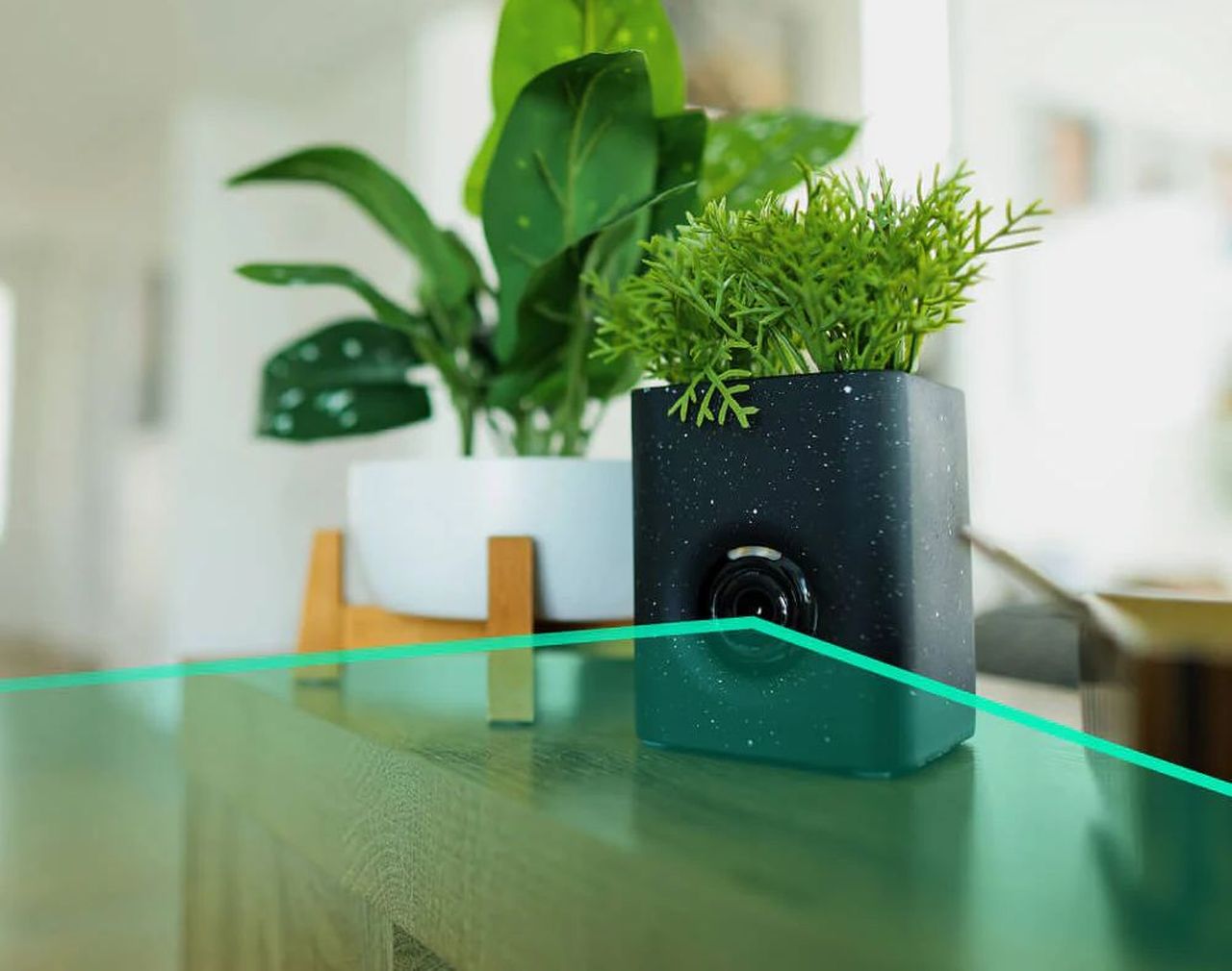 Wyze Launches Decorative Vase to Disguise Its Security Cameras From Plain Sight