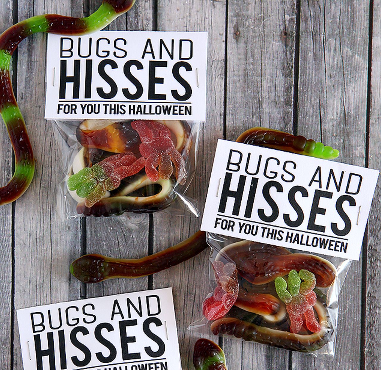 Bugs And Hisses Treat Bag Toppers