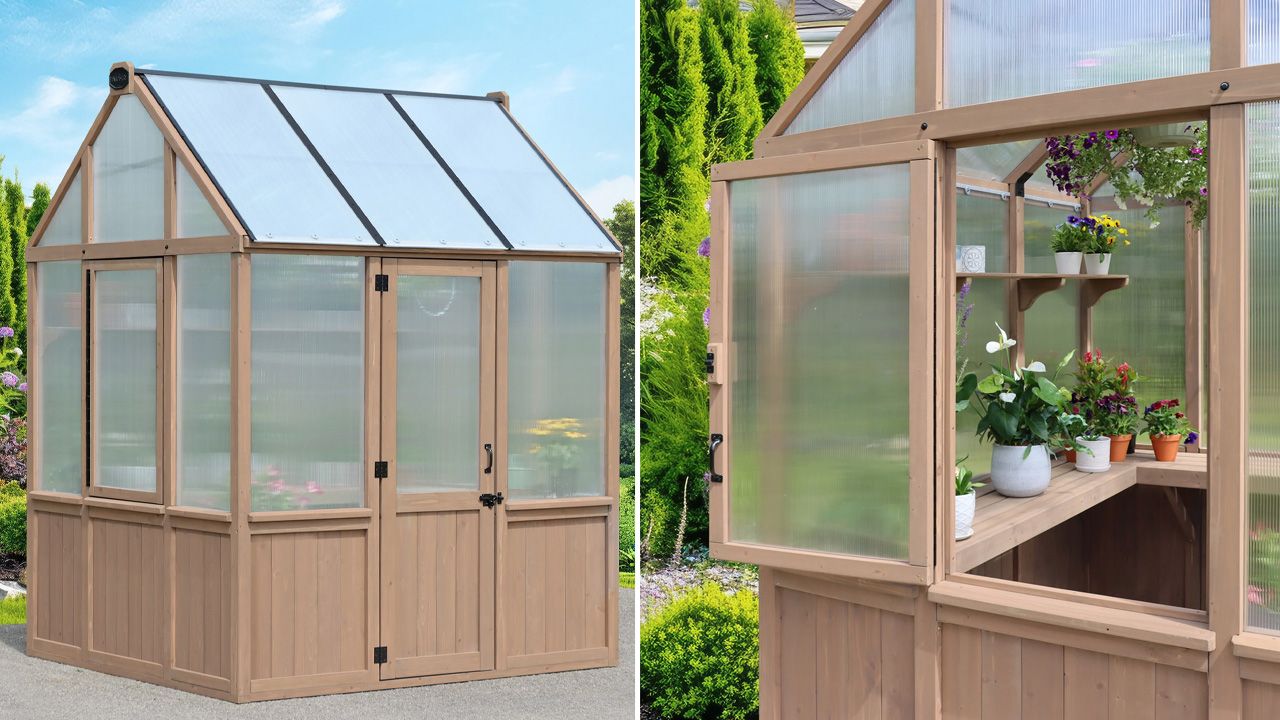 Costco Greenhouse - 1