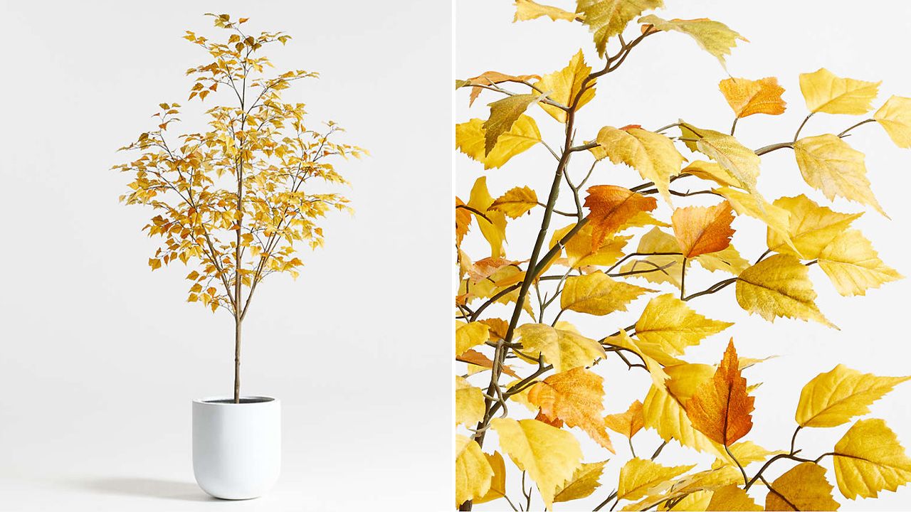 Crate & Barrel 2025 Fall Collection - 7-Foot Potted Faux Golden Leaf Tree