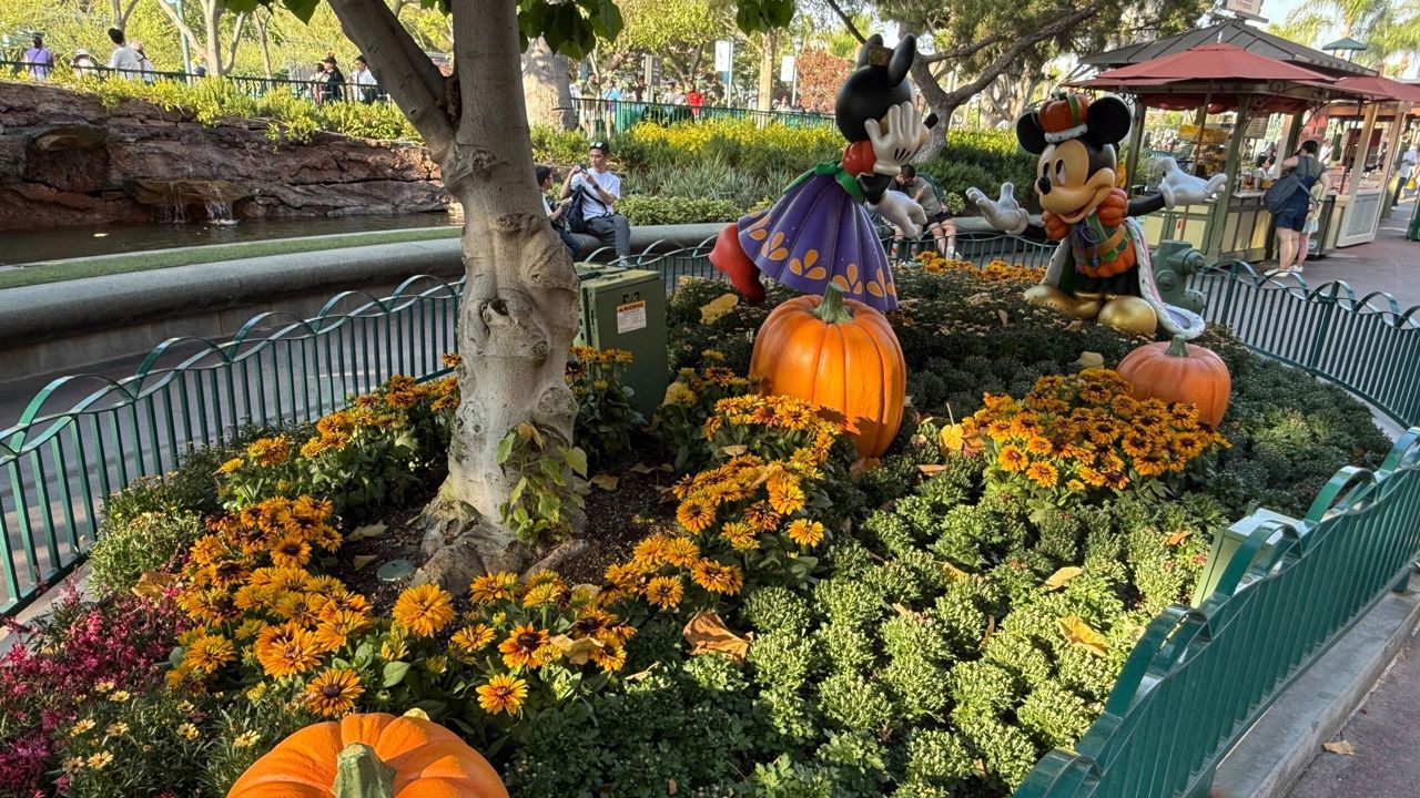 Disneyland Halloween Decorations 2025 - 6