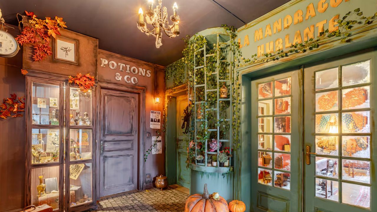 Harry Potter-Themed Airbnbs - Le grand gîte du Sorcier in Colmar, France