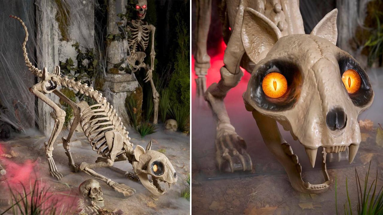 Home Depot Halloween Collection 2025 - 5-Foot LED Skelly’s Cat
