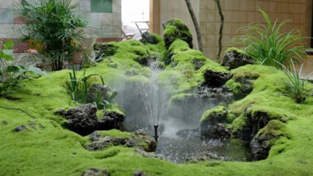 Poposoap Solar Powered Water Features are Transforming Gardens