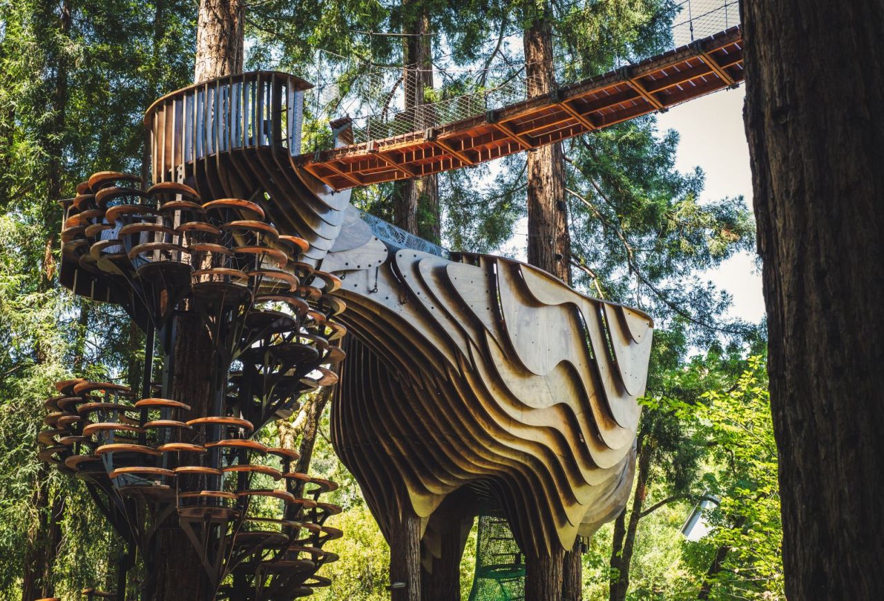 Redwood Ripple by O2 Treehouse