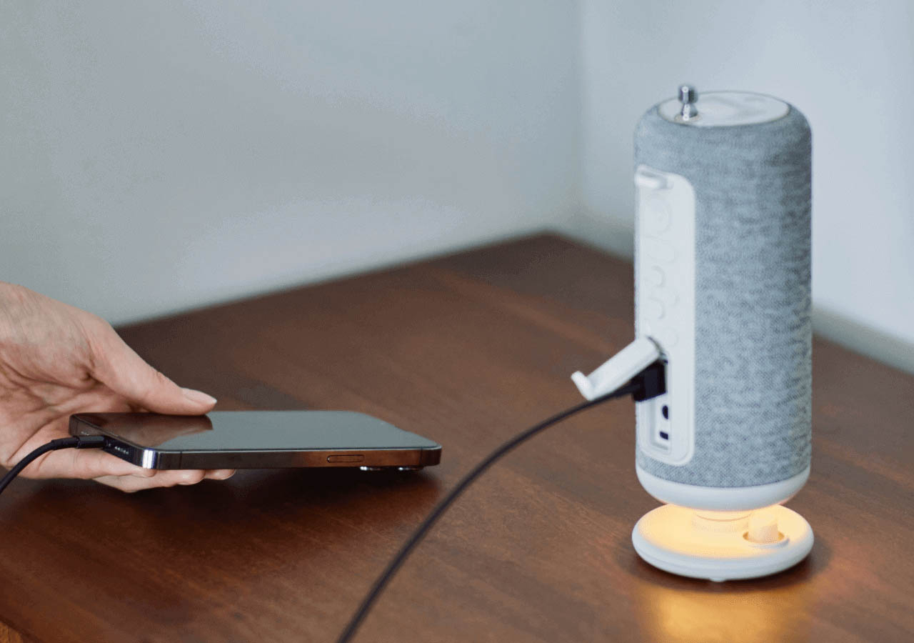 Rhythm Crankspeaker