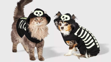 Target's Skeleton Glow Halloween Hoodie is Just Paw-Fect